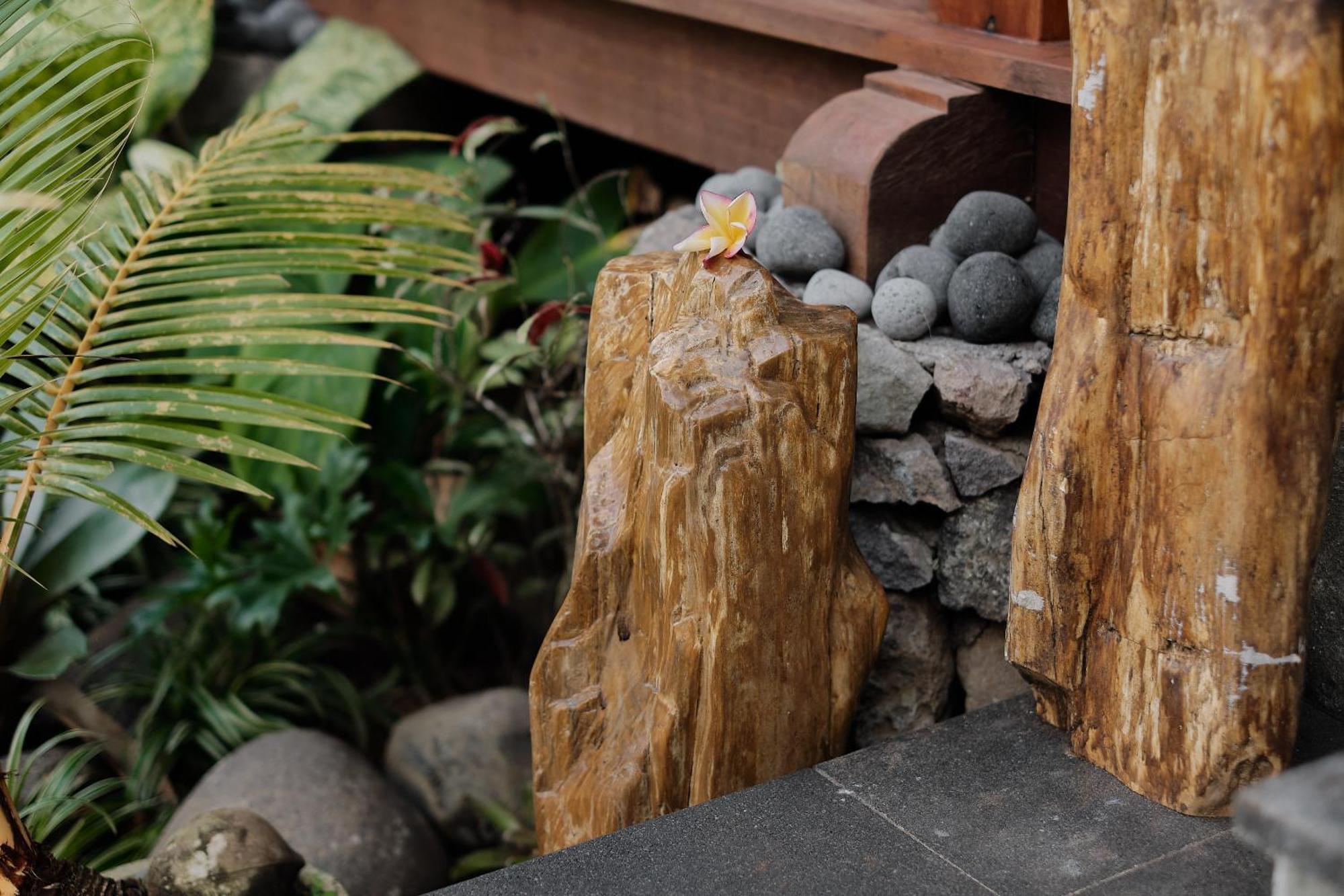 Ithaca Ubud Villa Kültér fotó